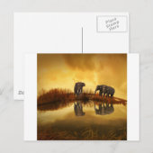 Elefanten Postkarte (Vorne/Hinten)
