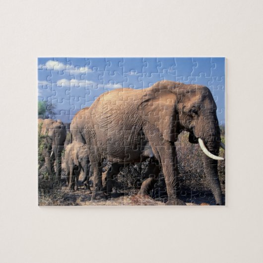 Elefanten-Puzzle Puzzle (Horizontal)