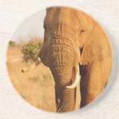 Elefanten Sandstein Untersetzer (Vorne)