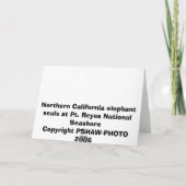 Elefanten Siegel in Harmonie Karte (Rückseite)