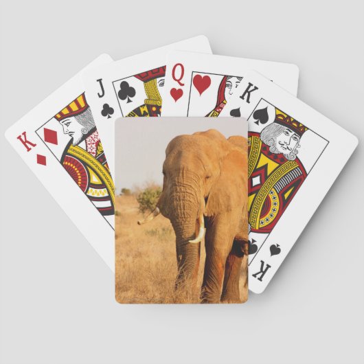 Elefanten Spielkarten (Rückseite)
