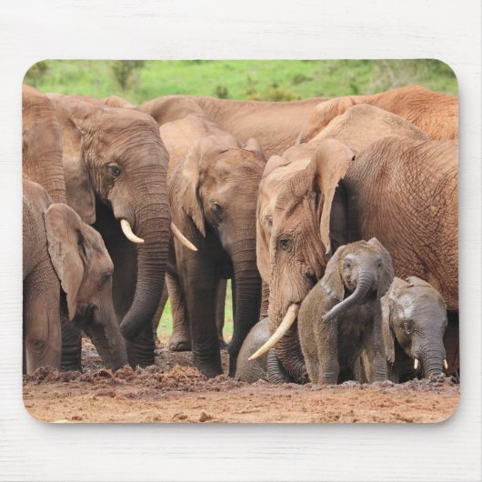 Elefanten süß mousepad (Vorne)