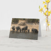 Elefanten trinken vom Chobe River Karte (Gelbe Blume)
