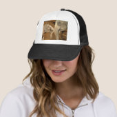 ELEFANTEN TRUCKERKAPPE (Beispiel)