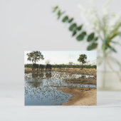 Elefanten und Vögel 2 Postkarte (Stehend Vorderseite)