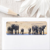 Elefanten von Chobe-Rücksendeadressen-Aufklebern (Insitu)