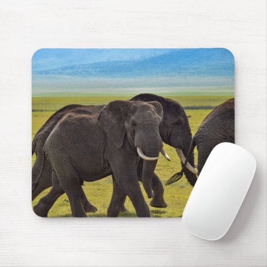 Elefanten, Wildtiere, Natur Mousepad (Mit Mouse)