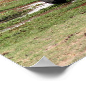 Elefantenamboseli Poster (Ecke)