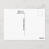 Elefantenaugen Postkarte (Rückseite)