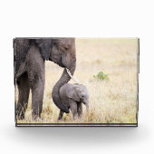 Elefantenbaby der Mutter Liebe Fotoblock (Vorderseite)