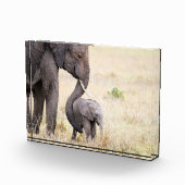 Elefantenbaby der Mutter Liebe Fotoblock (Rechts)