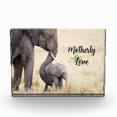 Elefantenbaby der Mutter personalisiert Fotoblock (Vorderseite)