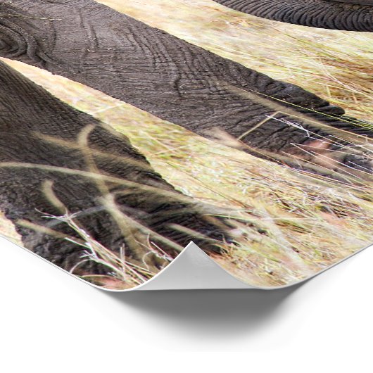 Elefantenbaby mit mütterlicher Liebe Poster (Ecke)