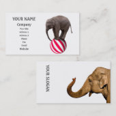 Elefantenbalancierung Visitenkarte (Vorne/Hinten)