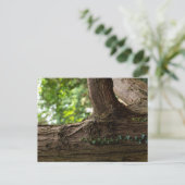 Elefantenbaum Postkarte (Stehend Vorderseite)