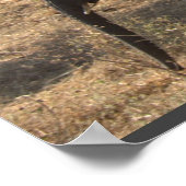 Elefanteneleganz Poster (Ecke)