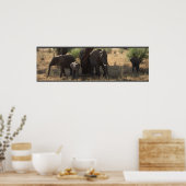 Elefanteneleganz Poster (Küche)