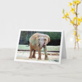 Elefantenessen Karte (Gelbe Blume)