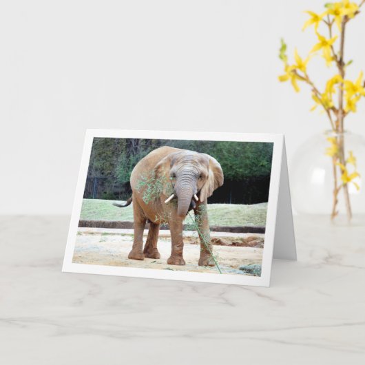 Elefantenessen Karte (Gelbe Blume)