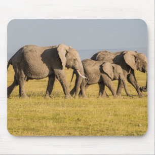 Elefantenfamilie beim Gehen Mousepad