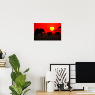 Elefantenfamilie beim Sonnenuntergang Poster