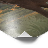 Elefantenfamilie "Die Anleihen der Krawatte" Fotodruck (Ecke)