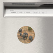 Elefantenfamilie Magnet (In Situ (Geschirrspüler))