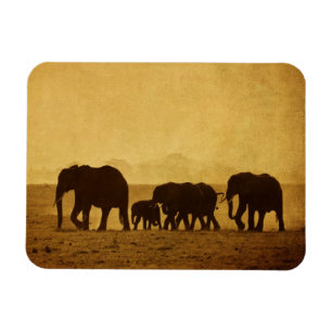 Elefantenfamilie Magnet