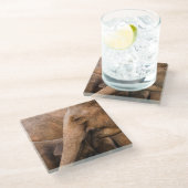 Elefantenfamilie: Majestic Wildlife Glasuntersetzer (Schrägansicht)