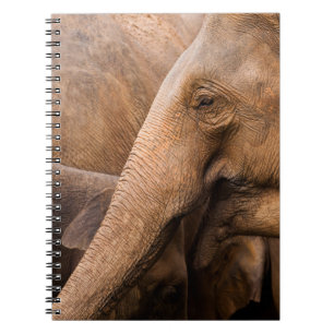 Elefantenfamilie: Majestic Wildlife Notizblock