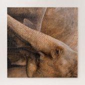 Elefantenfamilie: Majestic Wildlife Puzzle (Horizontal)