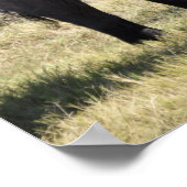 Elefantenfamilie Poster (Ecke)