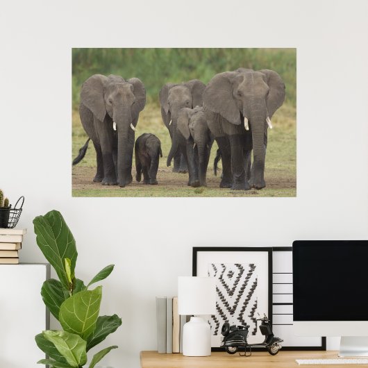 Elefantenfamilie Poster (Heimbüro)