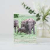 Elefantenfamilie Postkarte (Stehend Vorderseite)