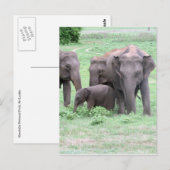Elefantenfamilie Postkarte (Vorne/Hinten)