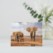 Elefantenfamilie Postkarte (Stehend Vorderseite)
