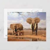 Elefantenfamilie Postkarte (Vorne/Hinten)
