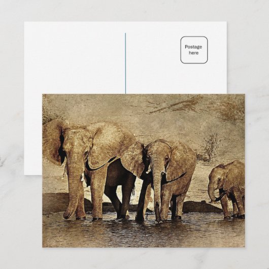 Elefantenfamilie Postkarte (Vorne/Hinten)