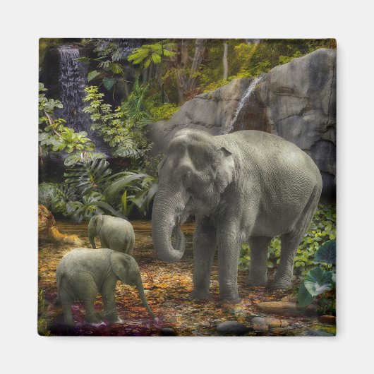 Elefantenfamilie RAIN FOREST PARTY Magnet (Vorne)