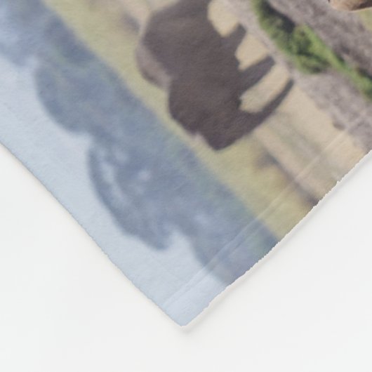 Elefantenfamilienwandern Fleecedecke (Ecke)