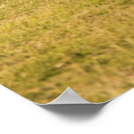 Elefantenfamilienwandern Poster (Ecke)