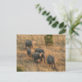 Elefantenfliege Postkarte (Stehend Vorderseite)