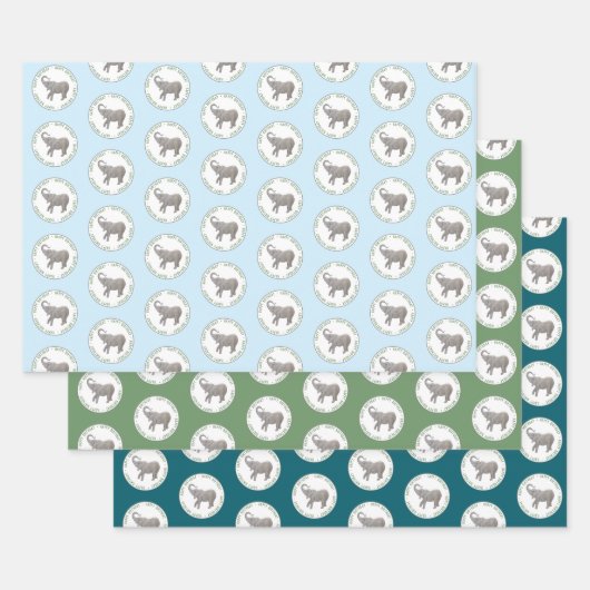 Elefantengeburtstag Geschenkpapier Set (Set)