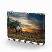 Elefantengehen bei Sonnenuntergang Fotoblock (Rechts)