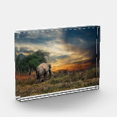 Elefantengehen bei Sonnenuntergang Fotoblock (Links)