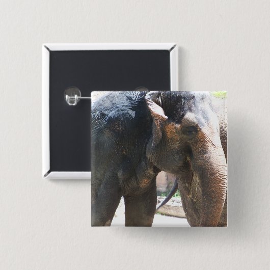 Elefantengesicht Button (Vorne & Hinten)