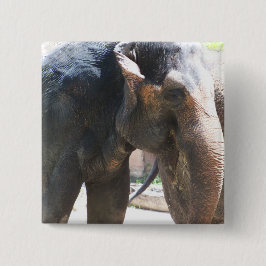 Elefantengesicht Button