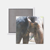 Elefantengesicht Magnet (Vorderseite/Rückseite)