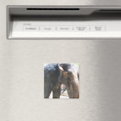 Elefantengesicht Magnet (In Situ (Geschirrspüler))