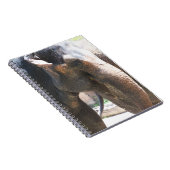 Elefantengesicht Notizblock (Rechte Seite)